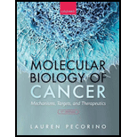 Molecular Biology Of Cancer