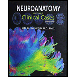 Neuroanatomy Through Clinical Cases