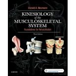 Kinesiology Of Musculoskeletal System