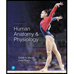 Human Anatomy And Physiology (Pearson+) | St. Petersburg College ...