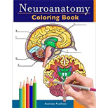 Neuroanatomy Coloring Book: Incredibly Detailed Self-Test Human Brain ...