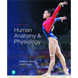 Human Anatomy & Physiology - Modified Mastering Access