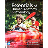 Essentials of Human Anatomy and Physiology (Pearson+)