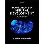 Foundations of Neural Development