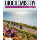 Biochemistry: A Short Course (Looseleaf)