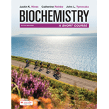 Biochemistry: A Short Course
